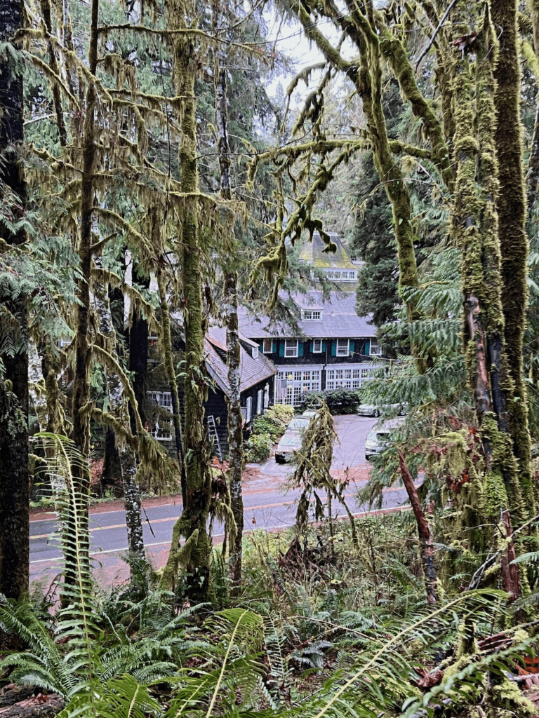 Lake Quinault lodge as seen from hiking the loop trail. Sword ferns and moss covered maple trees line this trail, while the historic lodge seems nestled firmly below.