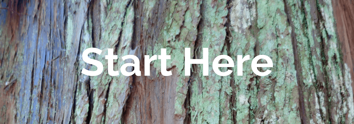 A tile for the home page of the Kessiworld website directs visitors to "Start Here" in order to learn about the website. The text is big bold white letters while the background is the green and brown strips of a western red cedar tree.