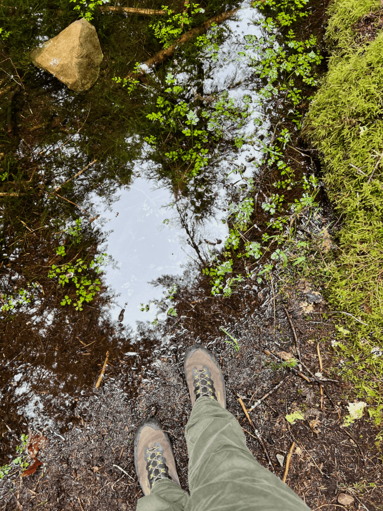 Two feet inch close to a puddle of water on the forest floor. There is a large multi-sided rock in the water as well as a collection of sticks and bright green water based plants. The person is wearing hiking boots and green pants.