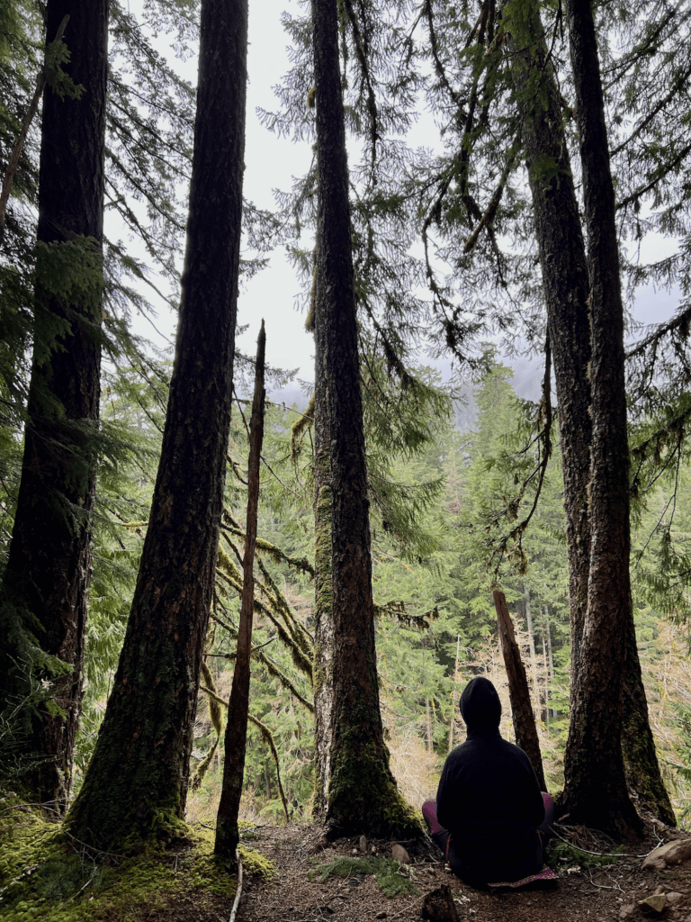 A person engage in a forest bathing meditation is seating on the dirt looking out into the distance.