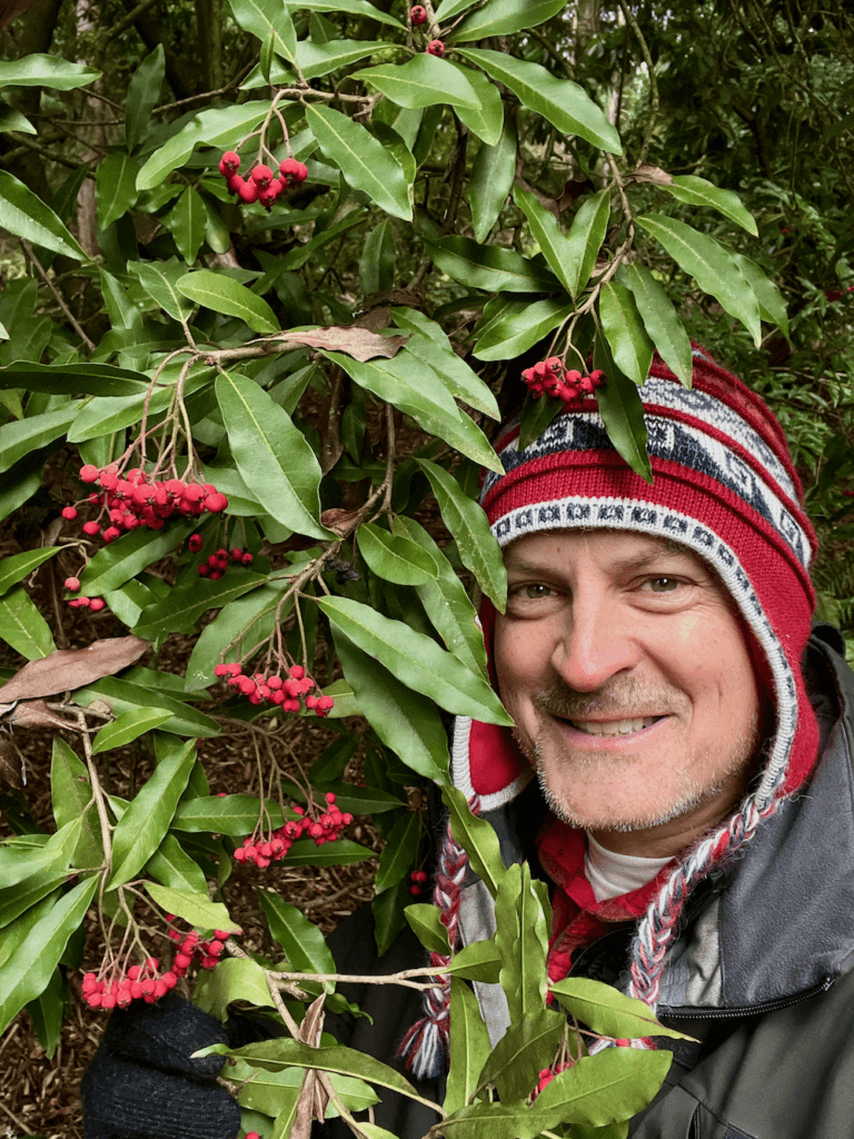 Matthew Kessi smiles a bright grin while leading people on a Forest Bathing experience in Seattle's Washington Park Arboretum. He's wearing a red wool cap with while accepts and leaning against a shrub with bright red berries in clumps of 20-30 on each stem.