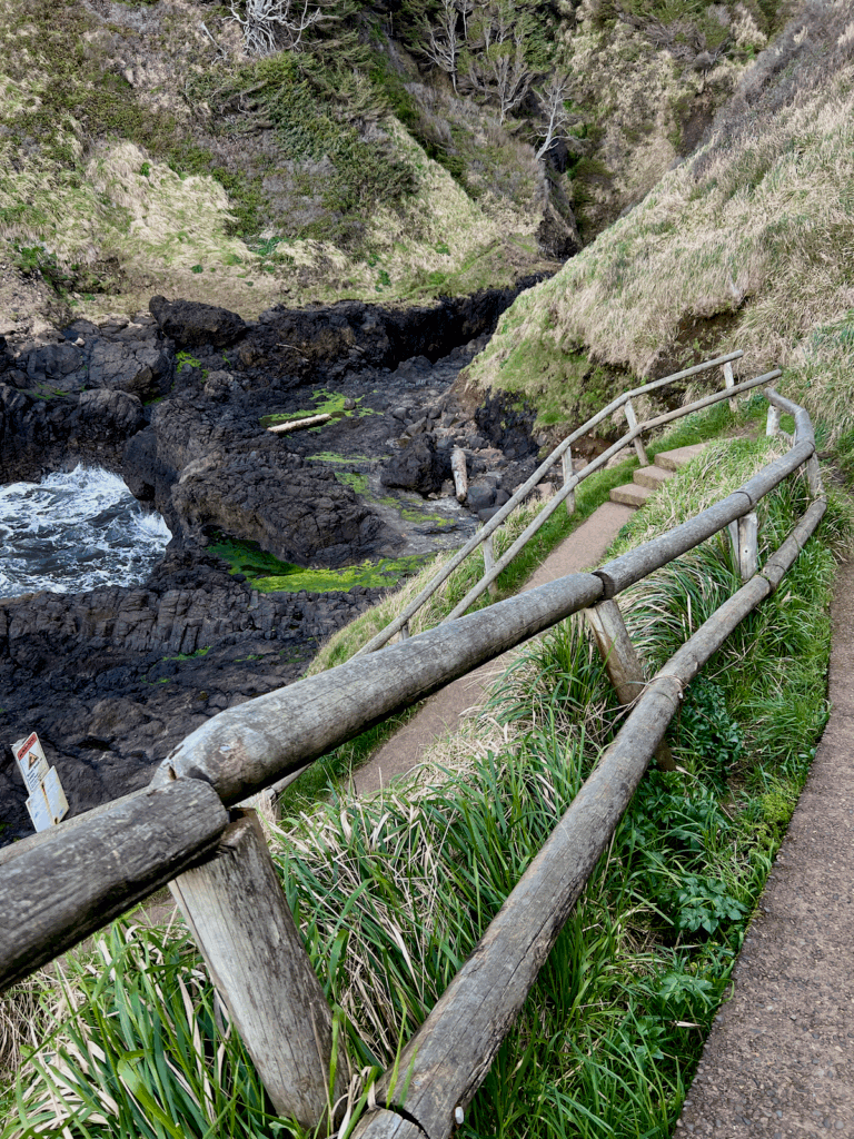 This picture shows the winding pathway down to Devil's Churn, at Cape Perpetua. The blades of grass are bright green under the weathered wood of the railing while black lava rock meets the churning sea water.