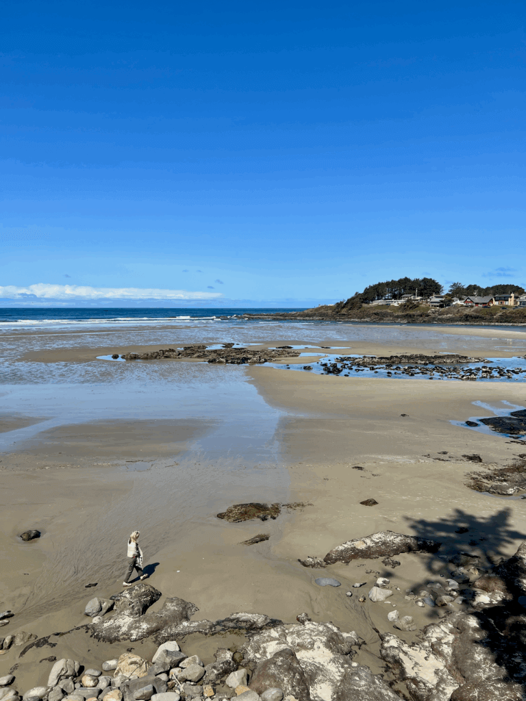A woman wearing a gray shawl and brown pants walks on the beach in Yachats Oregon. It is a favorite thing for visitors to do here. The tide is far out revealing low rocks and tide pools all under a bright blue sky.