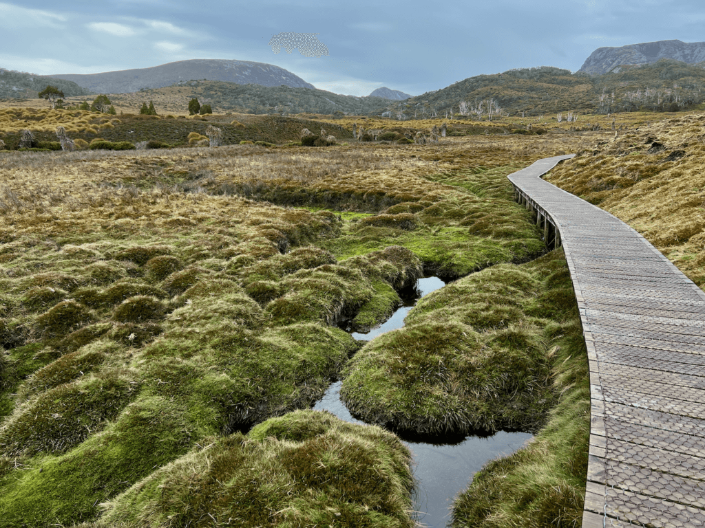 An open field with a boardwalk extending toward the mountains on a beautiful hike in Tasmania.