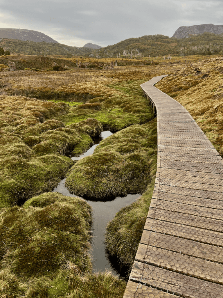 A winding boardwalk extends into the highlands, thick with grasses and pools of dark brown alpine water.