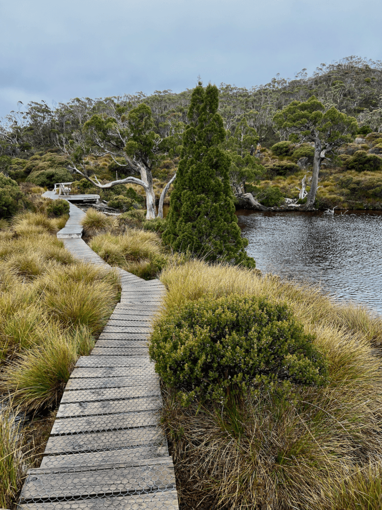A boardwalk winds around a mountain lake on a hike in Cradle Mountain National Park in Tasmania.