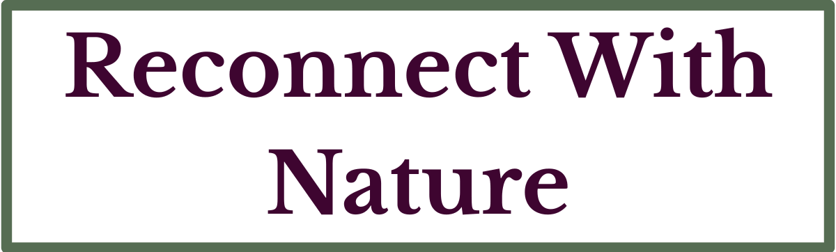 reconnect with nature