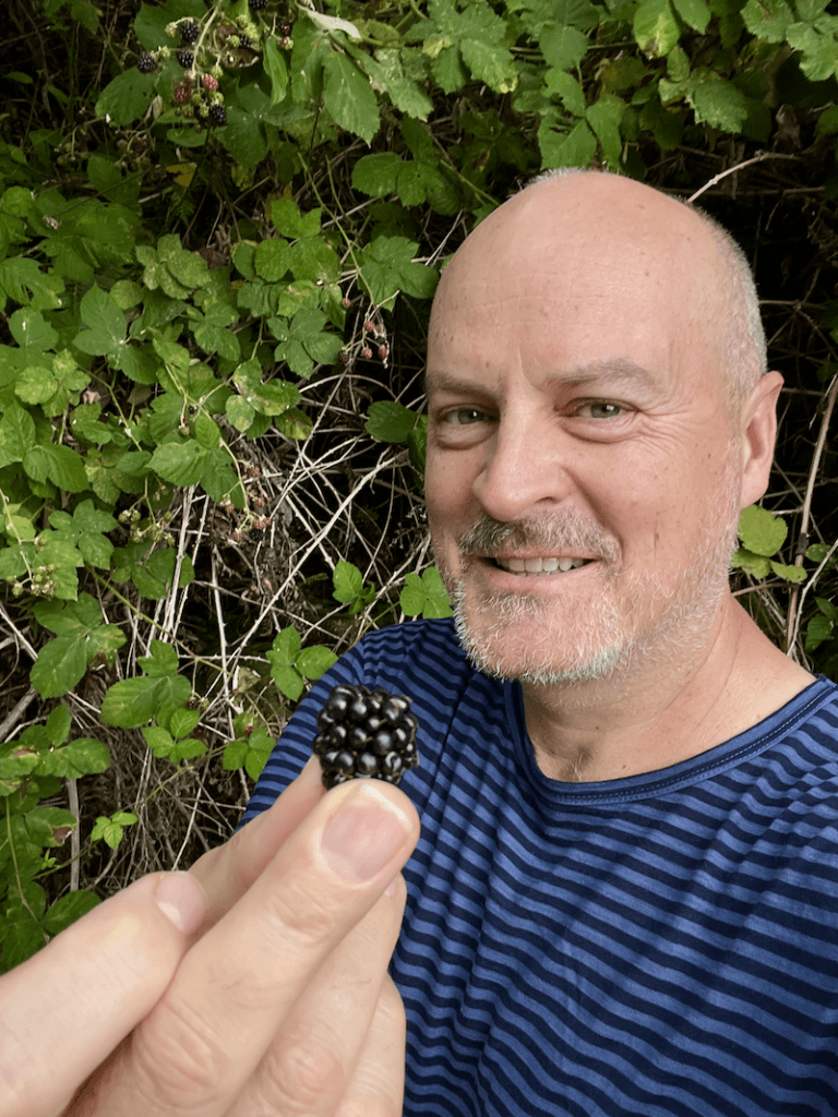 Matthew Kessi holds a ripe blackberry between his fingers while the vines flow abovec and behind him. He's wearing a blue and black striped shirt and a scruffy beard and he's smiling brightly.
